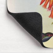 Urochroa Bougieri Muismat (Hoek)