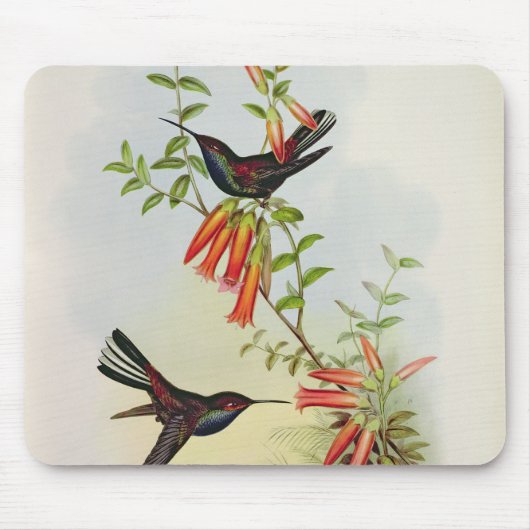 Urochroa Bougieri Muismat (Voorkant)