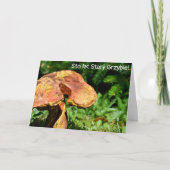 Urodziny - Funny Poolse verjaardagskaart Kaart (Voorkant)