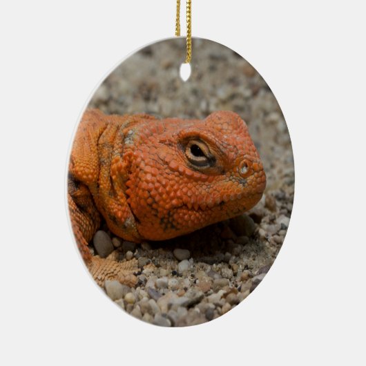 Uromastyx geyri keramisch ornament (Rechts)