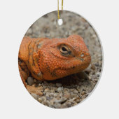 Uromastyx geyri keramisch ornament (Links)