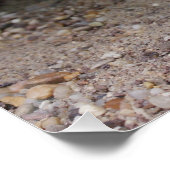 Uromastyx geyri perfect poster (Hoek)