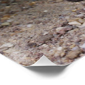 Uromastyx geyri poster (Hoek)