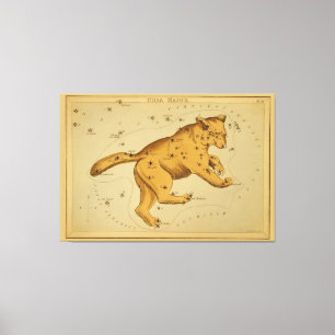 Ursa Major - Astronomisch Star Chart Afbeelding Canvas Afdruk