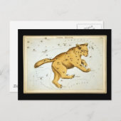 Ursa Major Beer Briefkaart (Voorkant / Achterkant)