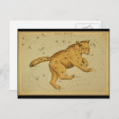 Ursa Major Briefkaart (Voorkant / Achterkant)