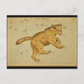 Ursa Major Briefkaart (Voorkant)