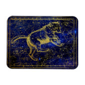 ursa major constellation magnet magneet (Horizontaal)