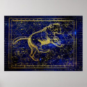 ursa major constellation poster