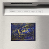 ursa major sterrenbeeld magneet (Insitu (Vaatwasser))