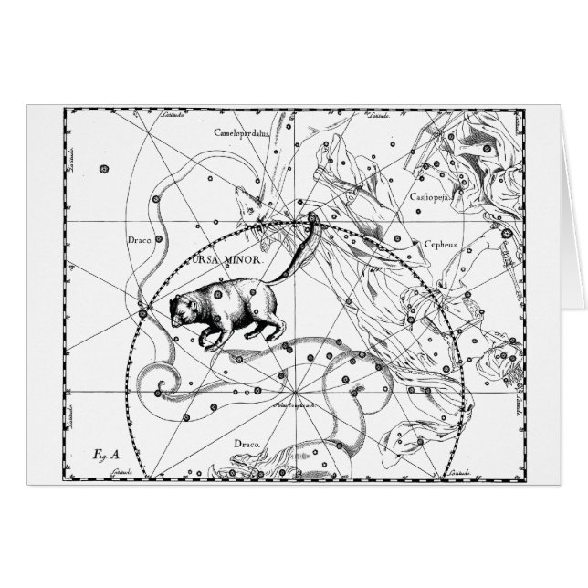 Ursa Minor (Voorkant Horizontaal)