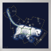 Ursa Minor (poster) Poster (Voorkant)