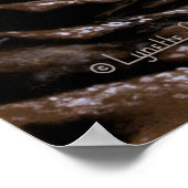 Ursae Majoris Systeem Poster (Hoek)