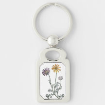 Ursinia anthemoides Solar Fire Botanische K