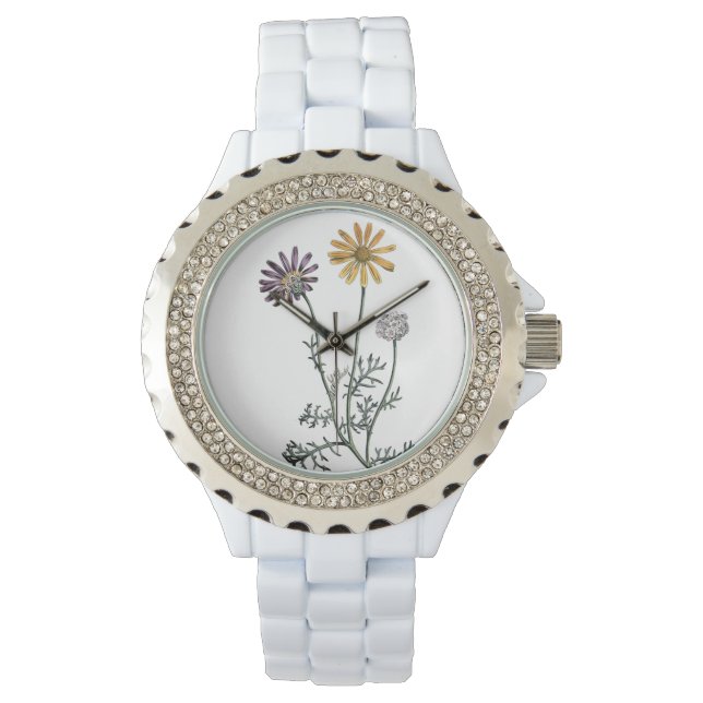  Ursinia anthemoides zonnebrand botanisch Horloge (Voorkant)