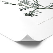  Ursinia anthemoides zonnebrand botanisch Poster (Hoek)