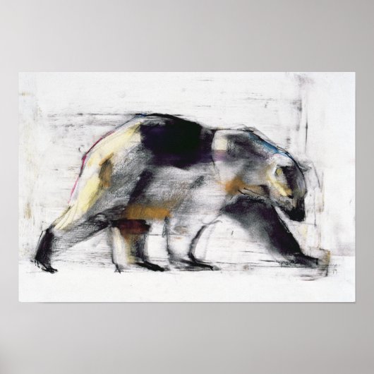 Ursus Maritimus 1999 Poster (Voorkant)