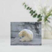 Ursus maritimus briefkaart (Staand voorkant)