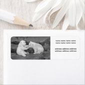 Ursus maritimus etiket (Insitu)