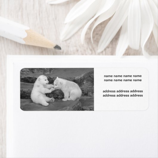 Ursus maritimus etiket (Insitu)