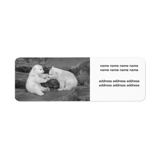 Ursus maritimus etiket (Voorkant)