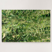 Urtica dioica, legpuzzel (Horizontaal)