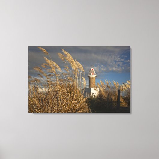 Uruguay, departement Montevideo, Montevideo. Canvas Afdruk (Voorkant)