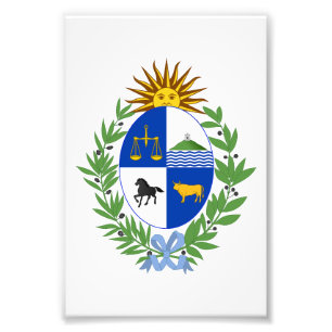 Uruguay landswapen symbool embleem vlag foto afdruk