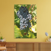 Uruguay, Montevideo, Colon Area. Bodegas Canvas Afdruk (Insitu (Woonkamer))