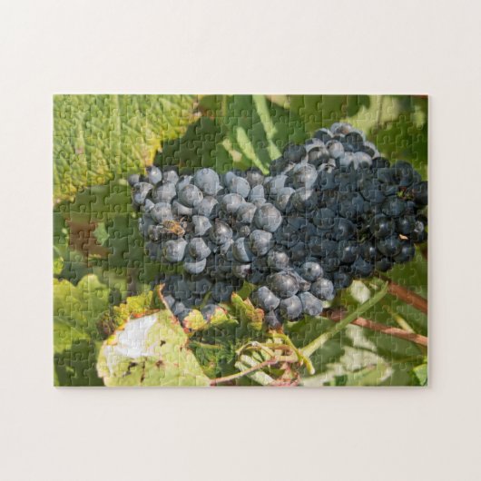 Uruguay, Montevideo, Colon Area. Bodegas Legpuzzel (Horizontaal)