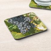 Uruguay, Montevideo, Colon Area. Bodegas Onderzetter (Linkerzijde)