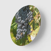 Uruguay, Montevideo, Colon Area. Bodegas Ronde Klok (Hoek)