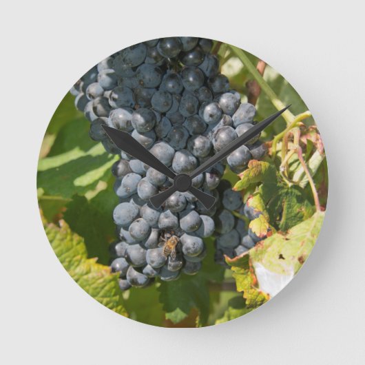 Uruguay, Montevideo, Colon Area. Bodegas Ronde Klok (Voorkant)