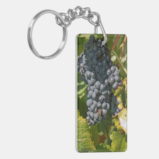 Uruguay, Montevideo, Colon Area. Bodegas Sleutelhanger (Voorkant Links)