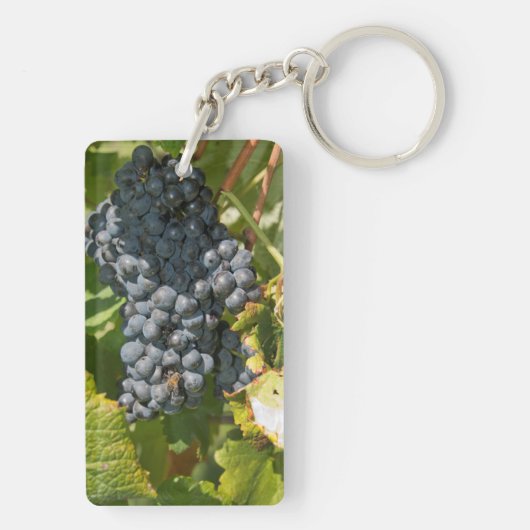 Uruguay, Montevideo, Colon Area. Bodegas Sleutelhanger (achterkant)