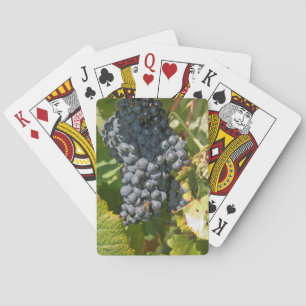 Uruguay, Montevideo, Colon Area. Bodegas Speelkaarten