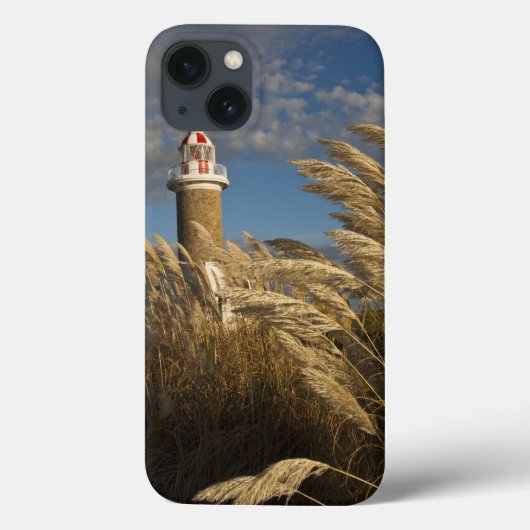 Uruguay, Montevideo Department, Montevideo. 2 Case-Mate iPhone Case (Achterkant)