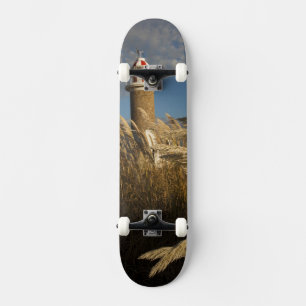 Uruguay, Montevideo Department, Montevideo. 2 Persoonlijk Skateboard
