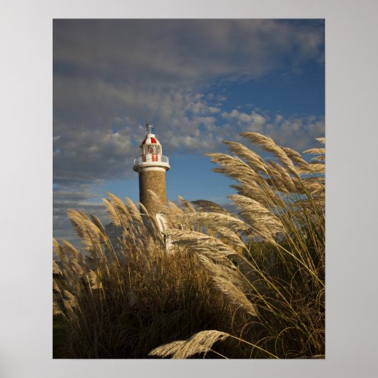 Uruguay, Montevideo Department, Montevideo. 2 Poster (Voorkant)