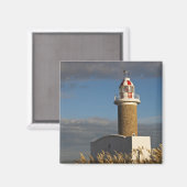 Uruguay, Montevideo Department, Montevideo. 3 Magneet (Voorkant / Achterkant)