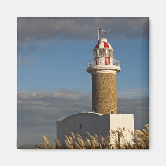 Uruguay, Montevideo Department, Montevideo. 3 Magneet (Voorkant)