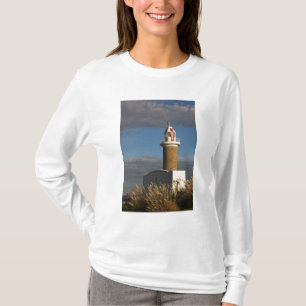 Uruguay, Montevideo Department, Montevideo. 3 T-shirt