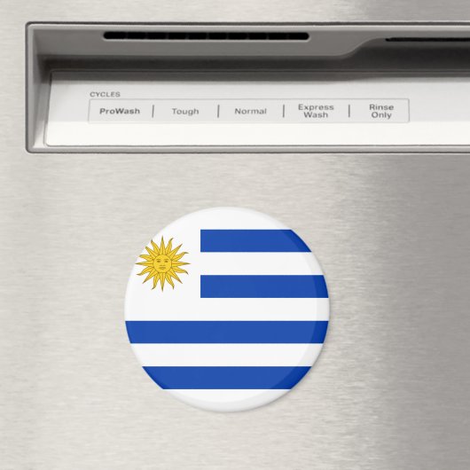 Uruguay-vlag Magneet (Insitu (Vaatwasser))