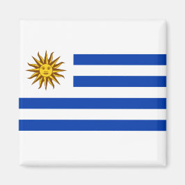 Uruguayaanse vlag magneet