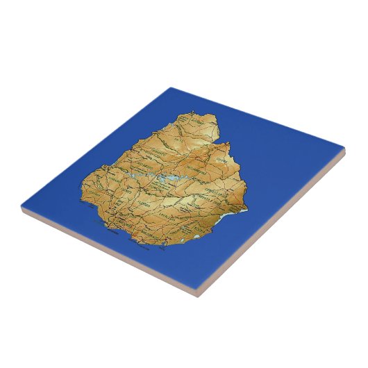 Uruguayplattegrond Tegeltje (Zijkant)