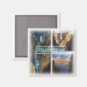 US0150 Amerika, Verenigde Staten, Yellowstone, Koe Magneet (Voorkant / Achterkant)