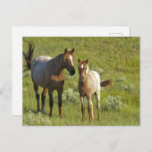 US35 CHA0209.jpg Briefkaart (Voorkant / Achterkant)