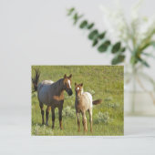 US35 CHA0209.jpg Briefkaart (Staand voorkant)