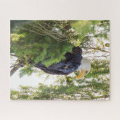 US48 TDR 1627.jpg Legpuzzel (Horizontaal)