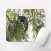 US48 TDR 1627.jpg Muismat (Met muis)